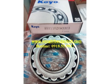 BẠC ĐẠN 22211RZKW33C3